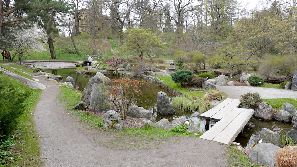 Bilden visar delar av den japanska trädgården vid Stockholms botaniska trädgård. 